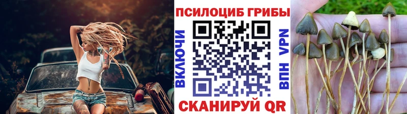 Галлюциногенные грибы GOLDEN TEACHER  Ноябрьск 
